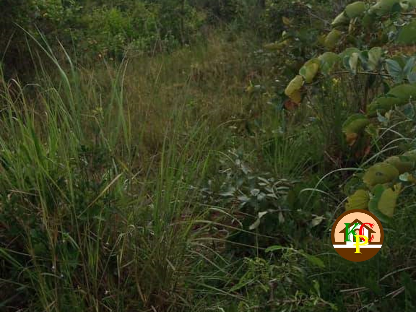 Residential Land for sale in Kakooge Wakiso