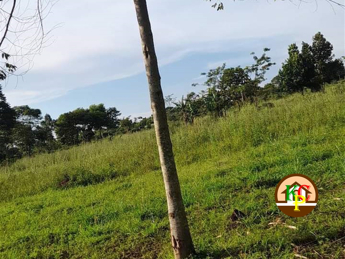 Residential Land for sale in Nakisunga Wakiso