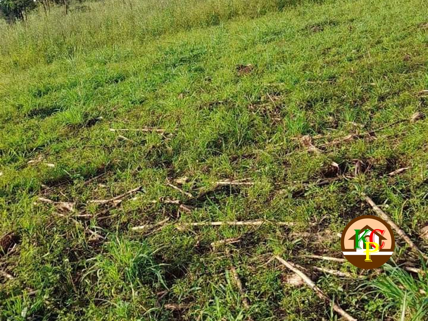 Residential Land for sale in Nakisunga Wakiso