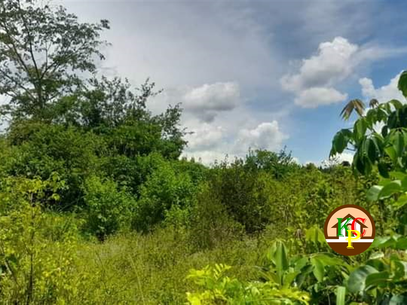 Residential Land for sale in Ngaaju Luweero