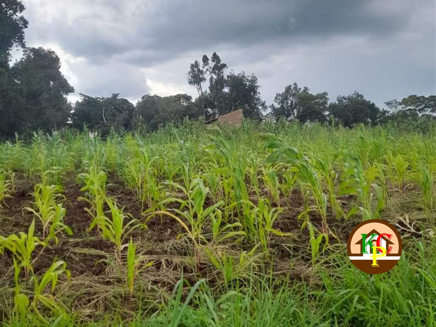 Residential Land for sale in Nama Mukono