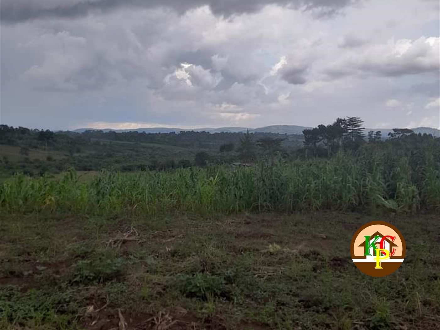 Residential Land for sale in Nama Mukono