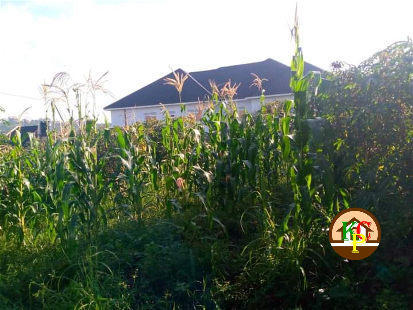 Residential Land for sale in Sonde Wakiso