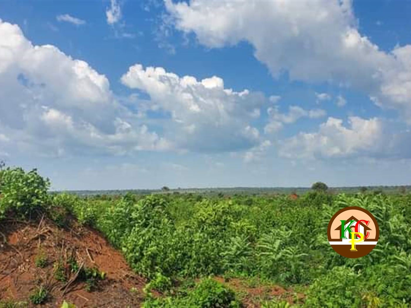 Residential Land for sale in Bbaale Wakiso