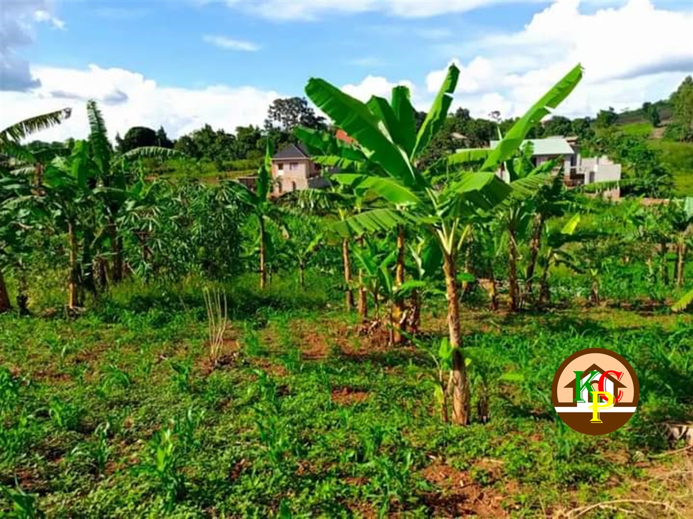 Residential Land for sale in Kira Wakiso