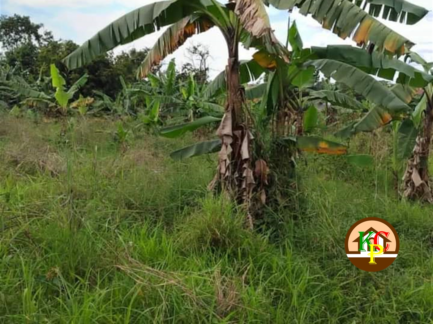 Residential Land for sale in Rubaga Kampala