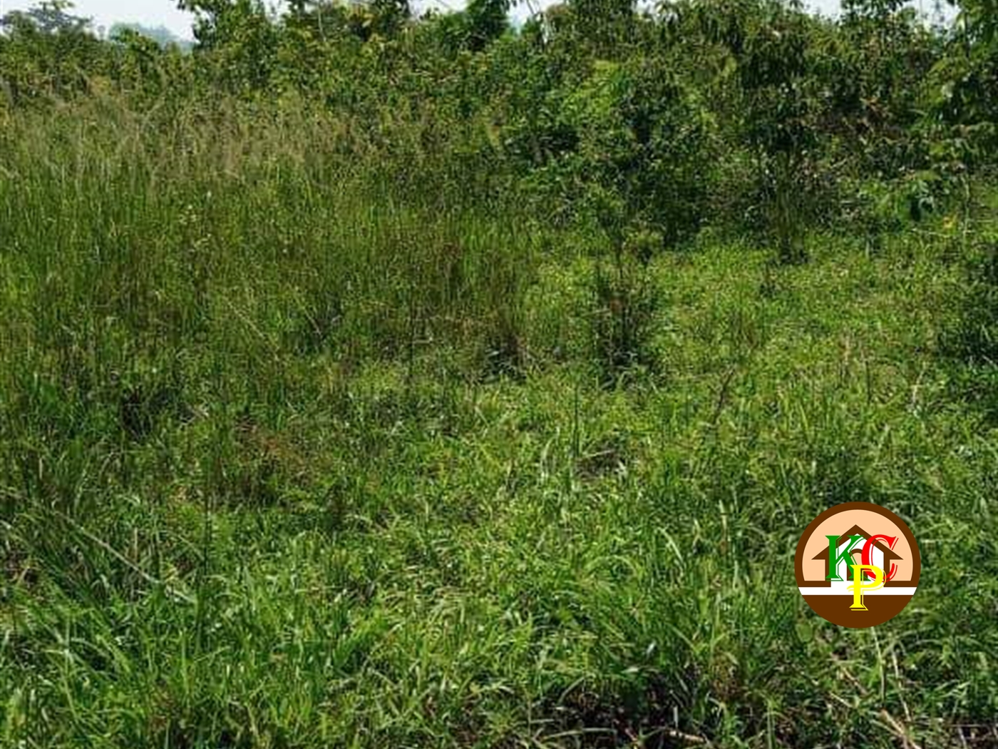 Residential Land for sale in Kakooge Wakiso