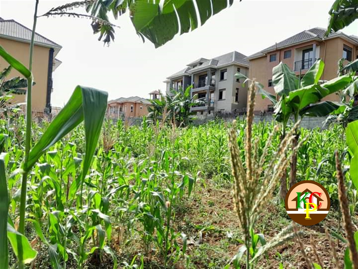 Residential Land for sale in Namugongo Wakiso