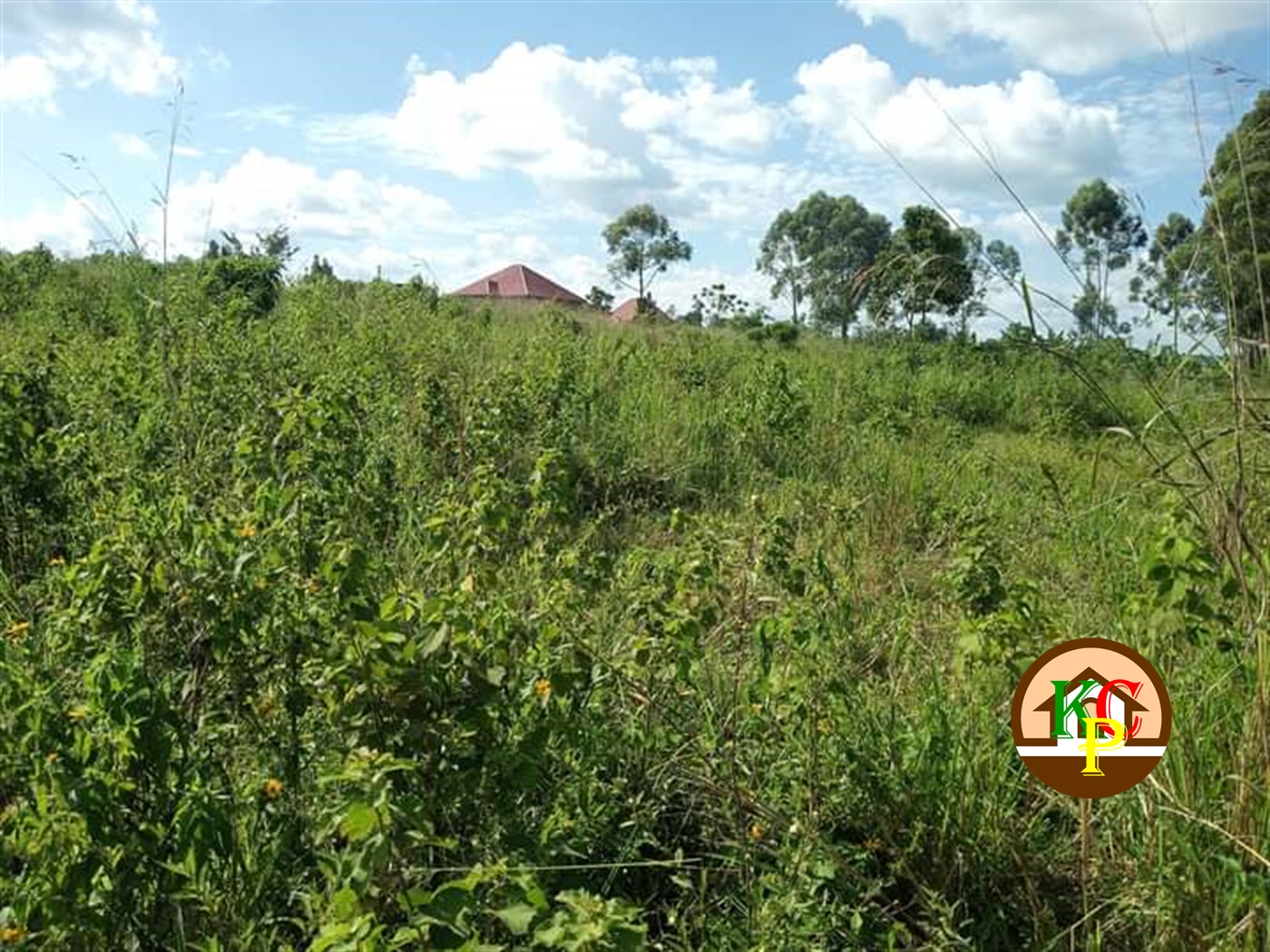 Residential Land for sale in Matugga Wakiso