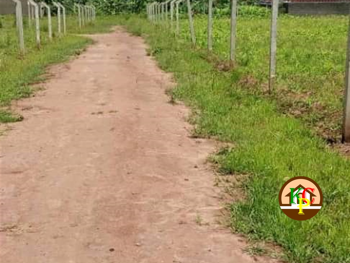 Residential Land for sale in Kiwenda Wakiso