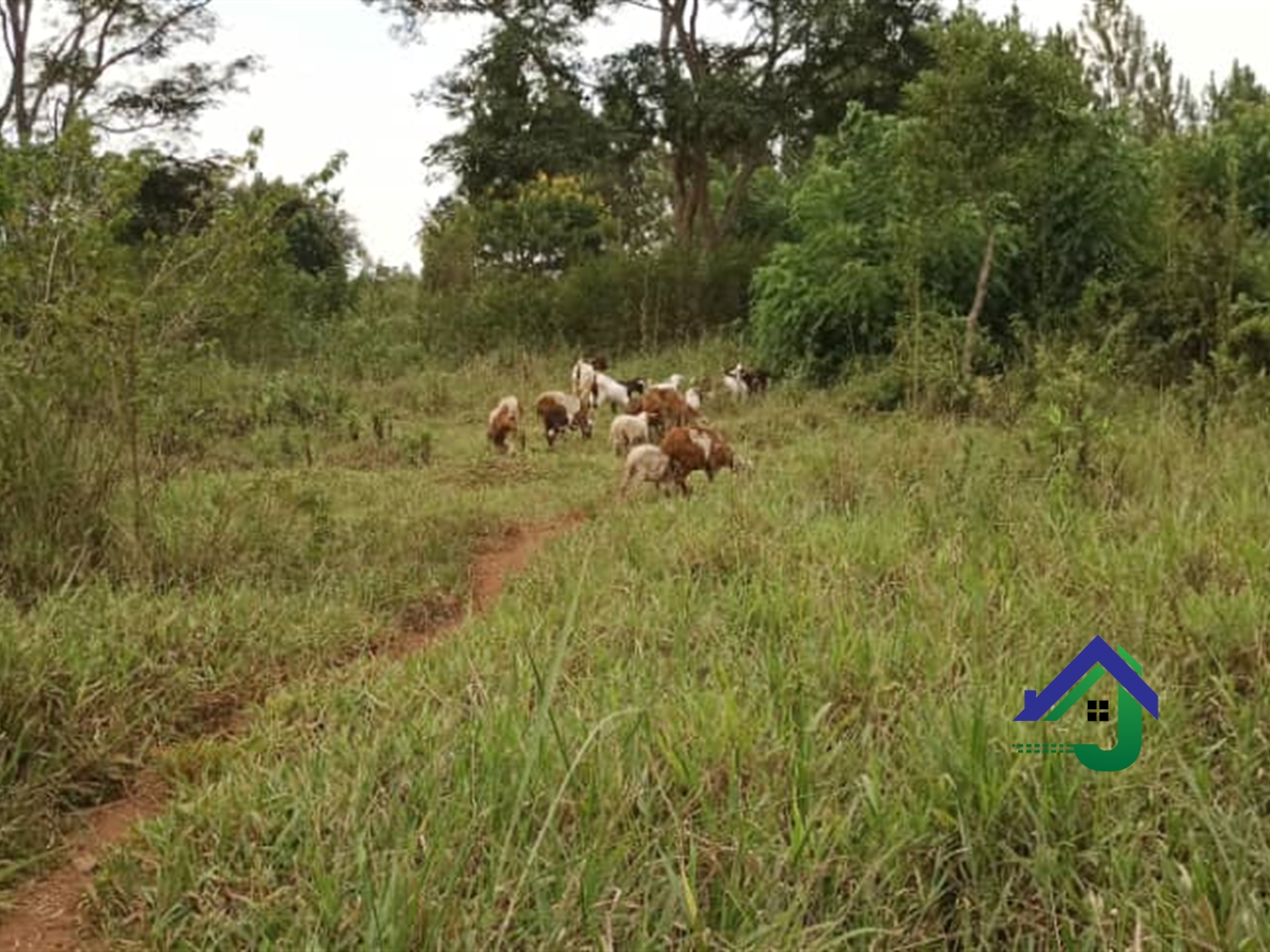 Residential Land for sale in Sonde Mukono