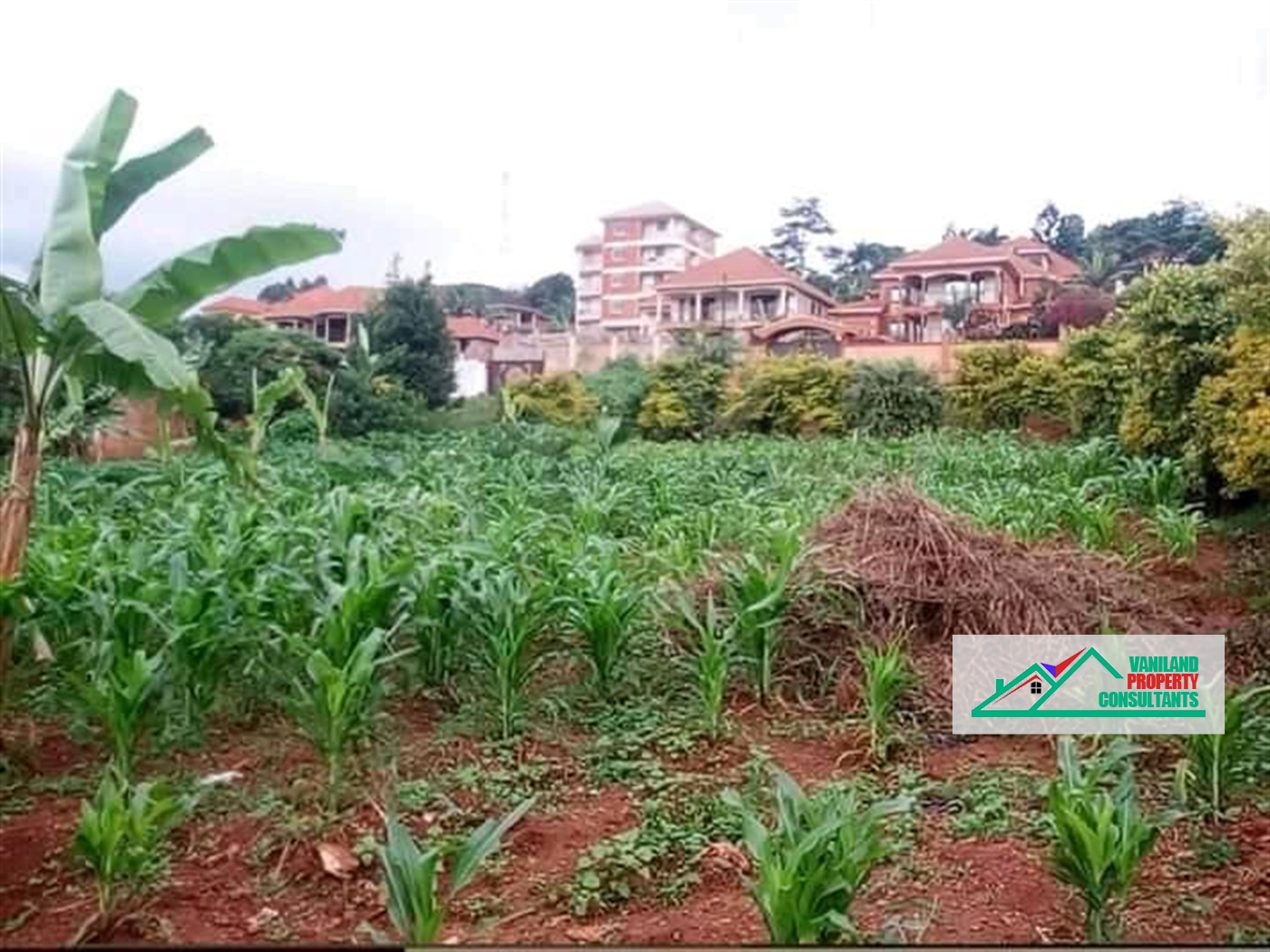 Residential Land for sale in Sonde Mukono