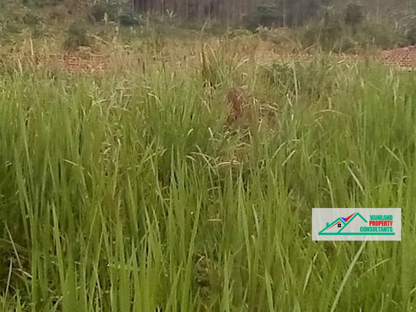 Multipurpose Land for sale in Ssemuto Wakiso