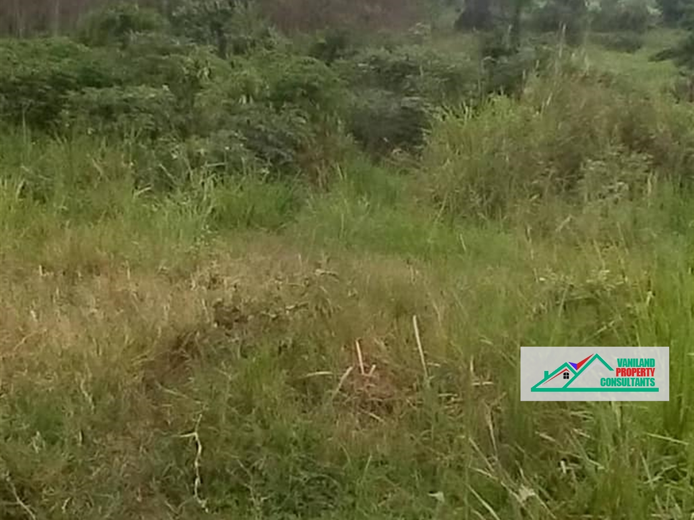 Multipurpose Land for sale in Ssemuto Wakiso