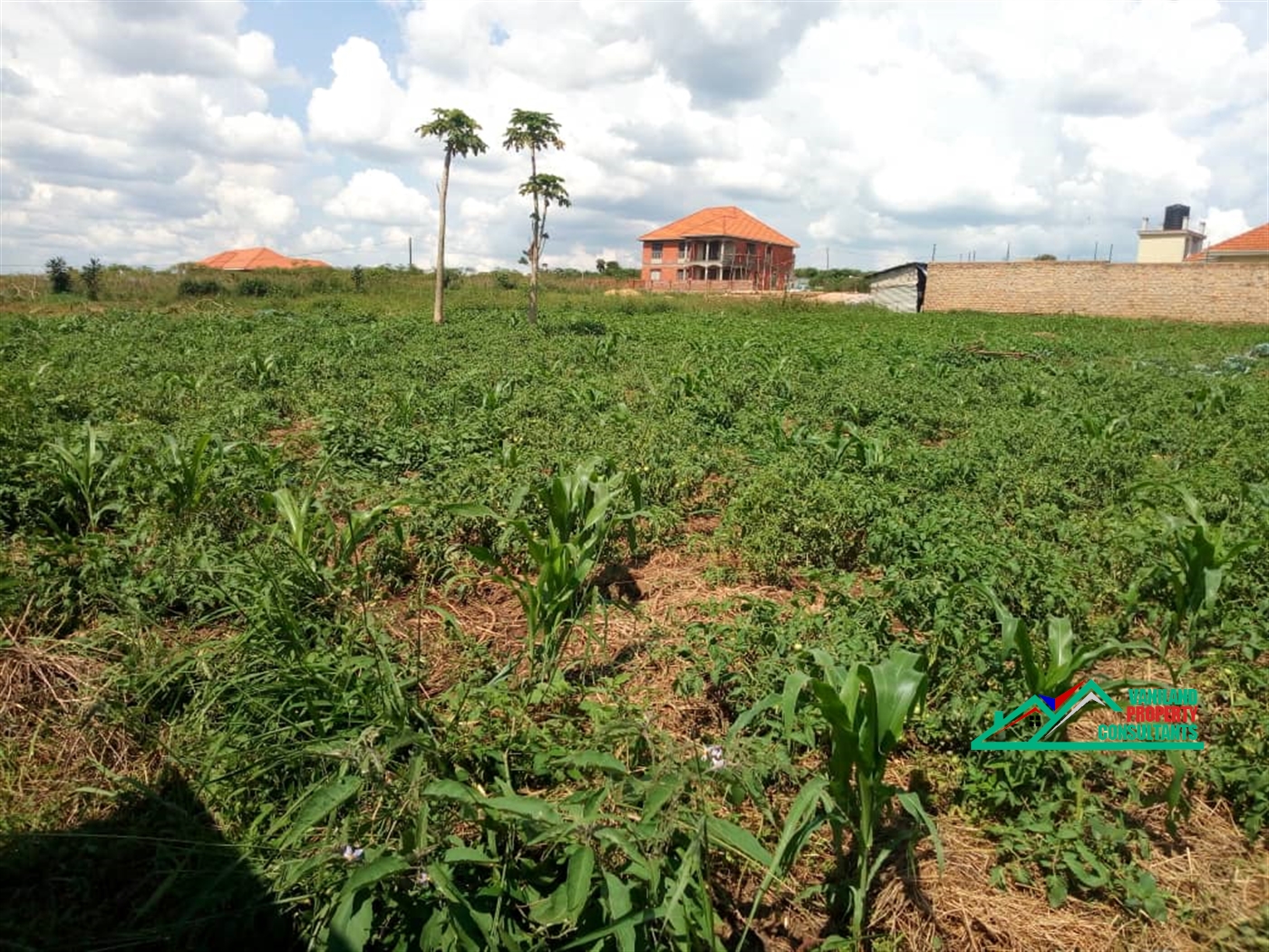 Residential Land for sale in Kira Wakiso