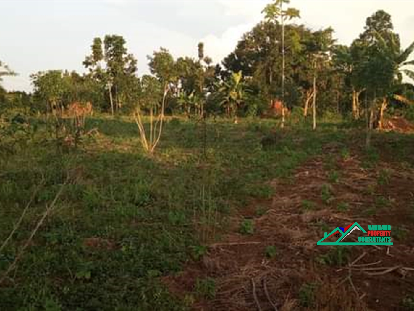 Residential Land for sale in Bukeelele Mukono