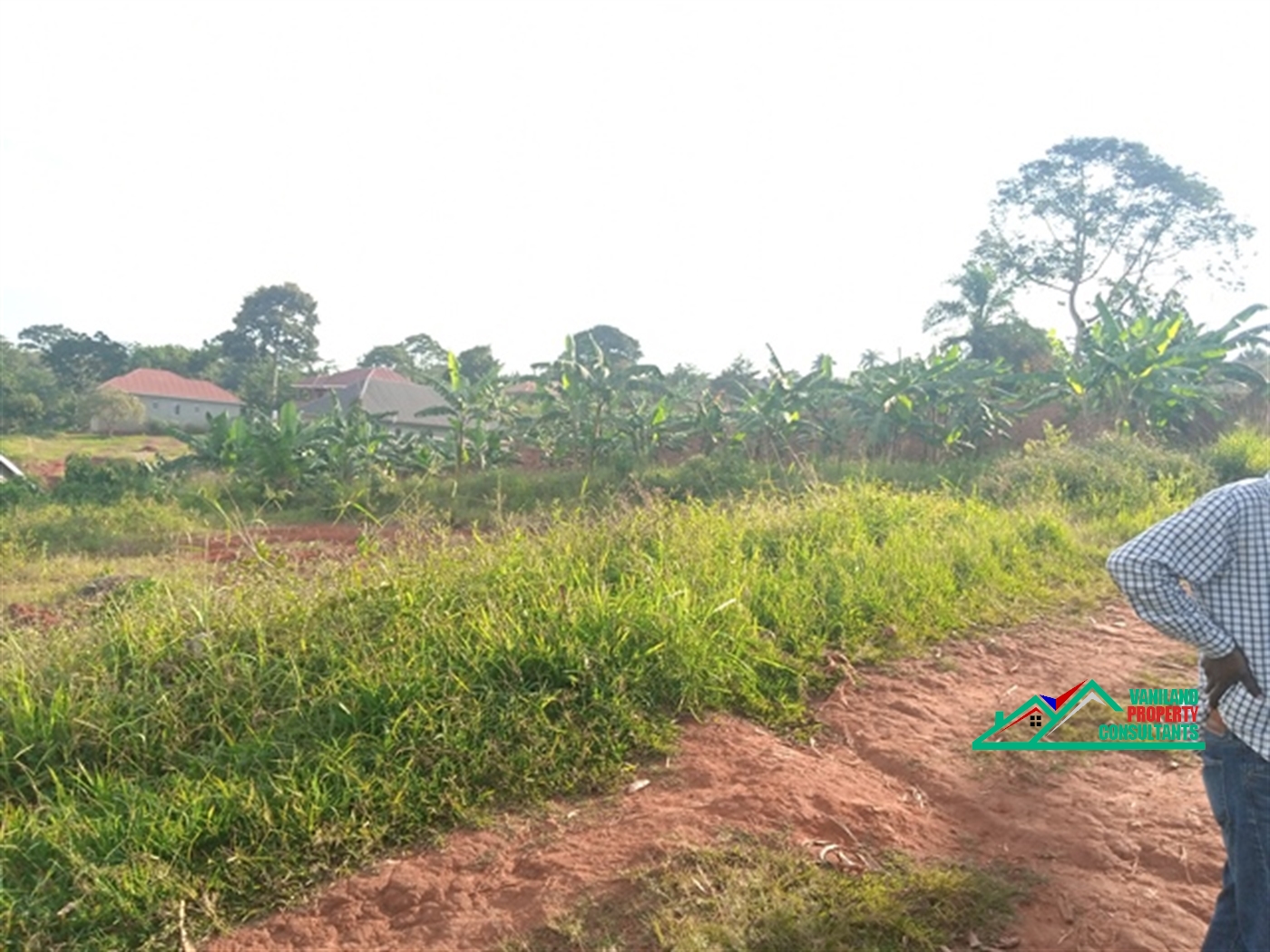 Residential Land for sale in Bukeelele Mukono