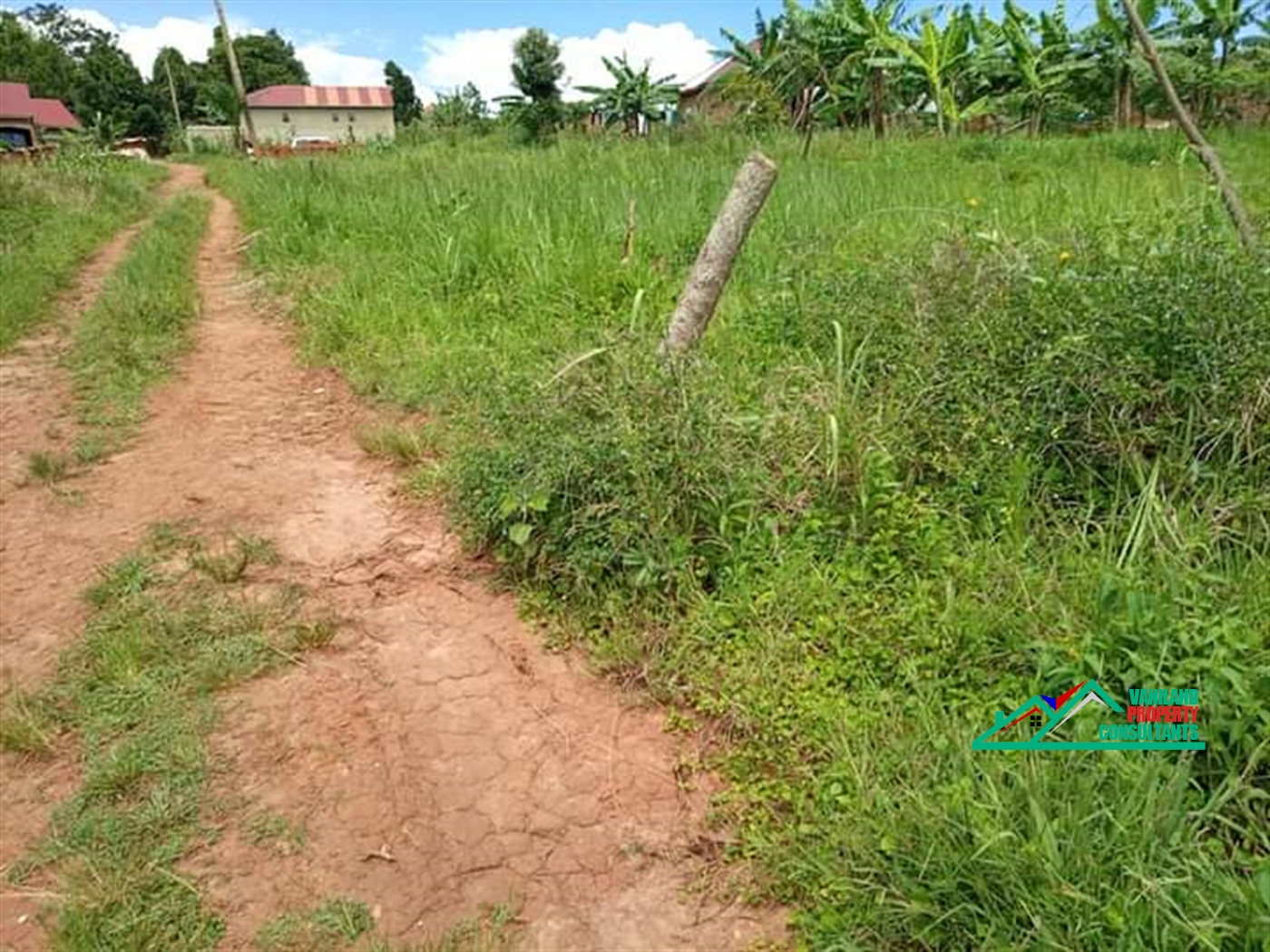 Residential Land for sale in Bukeelele Mukono