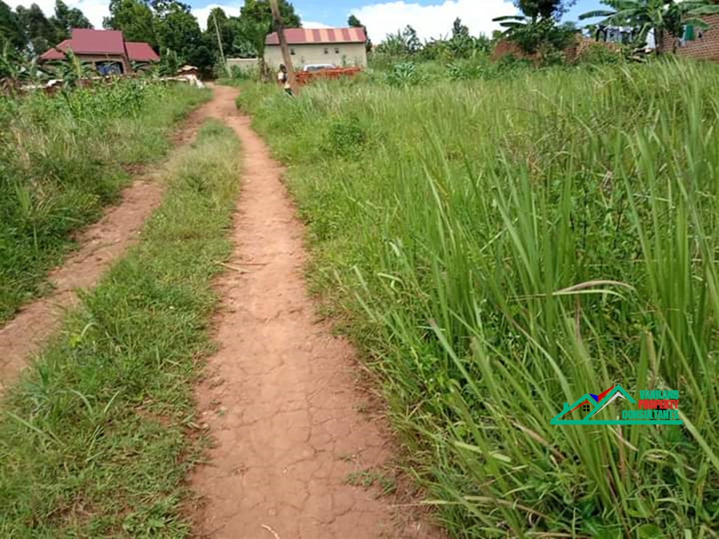 Residential Land for sale in Bukeelele Mukono