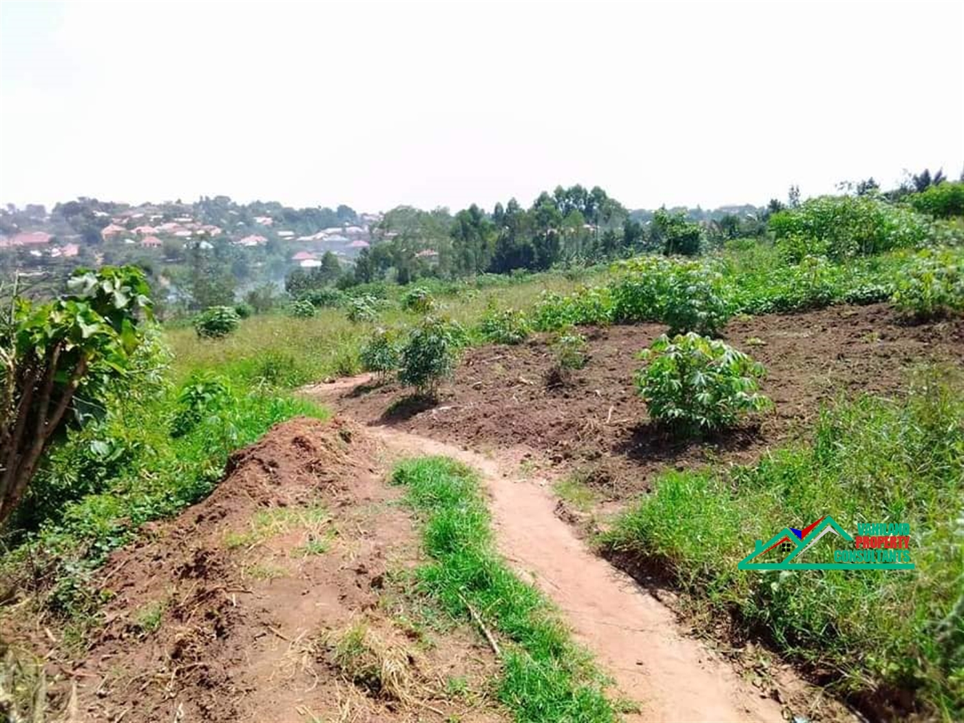 Residential Land for sale in Jokolela Wakiso