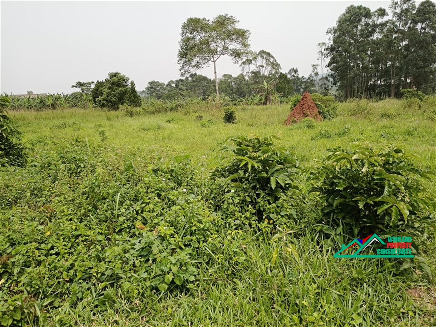 Residential Land for sale in Bulindo Wakiso