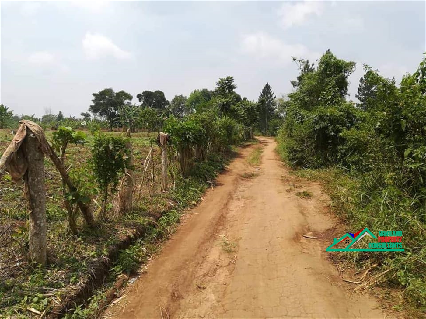 Residential Land for sale in Mukono Mukono