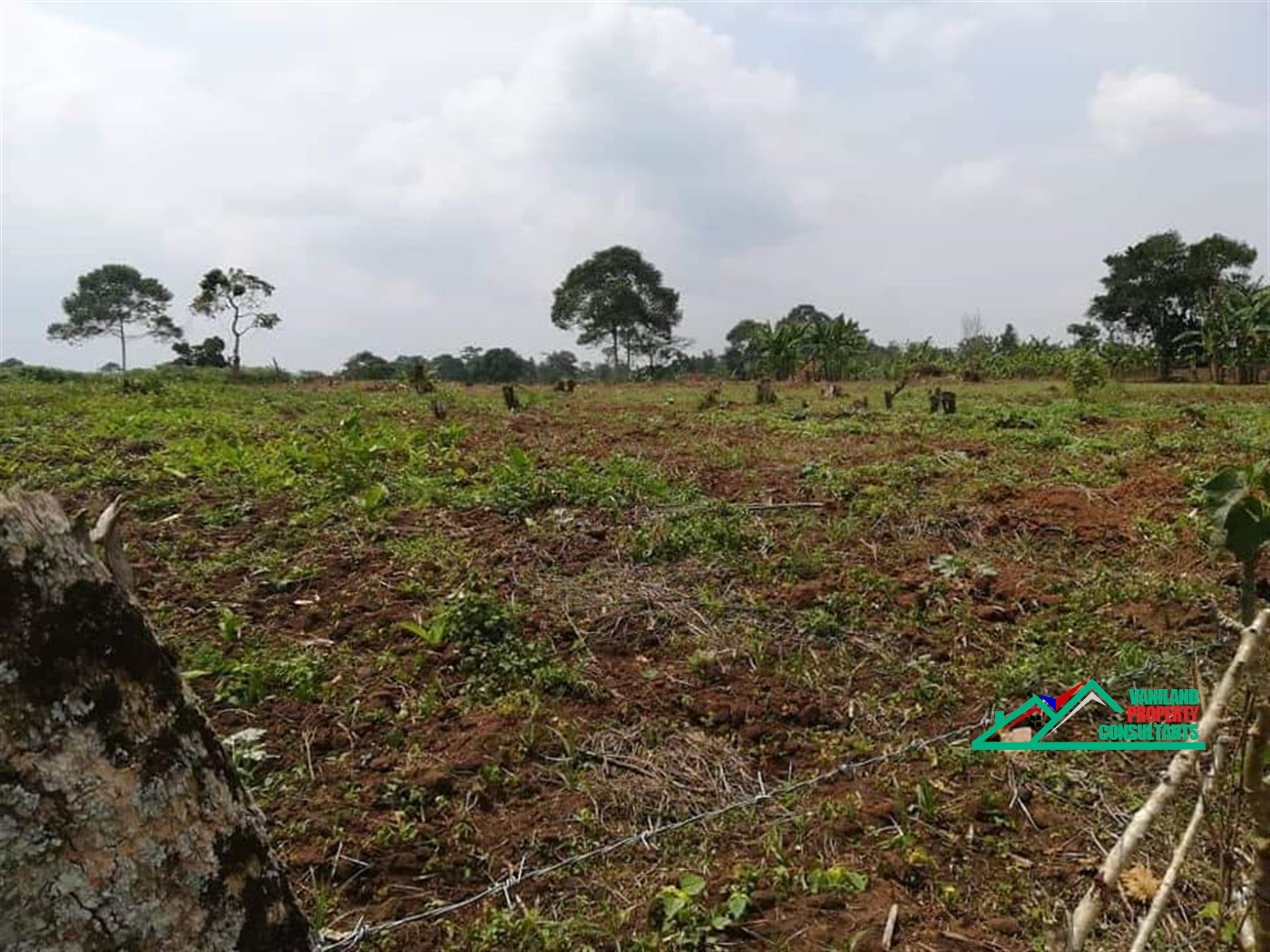 Residential Land for sale in Mukono Mukono