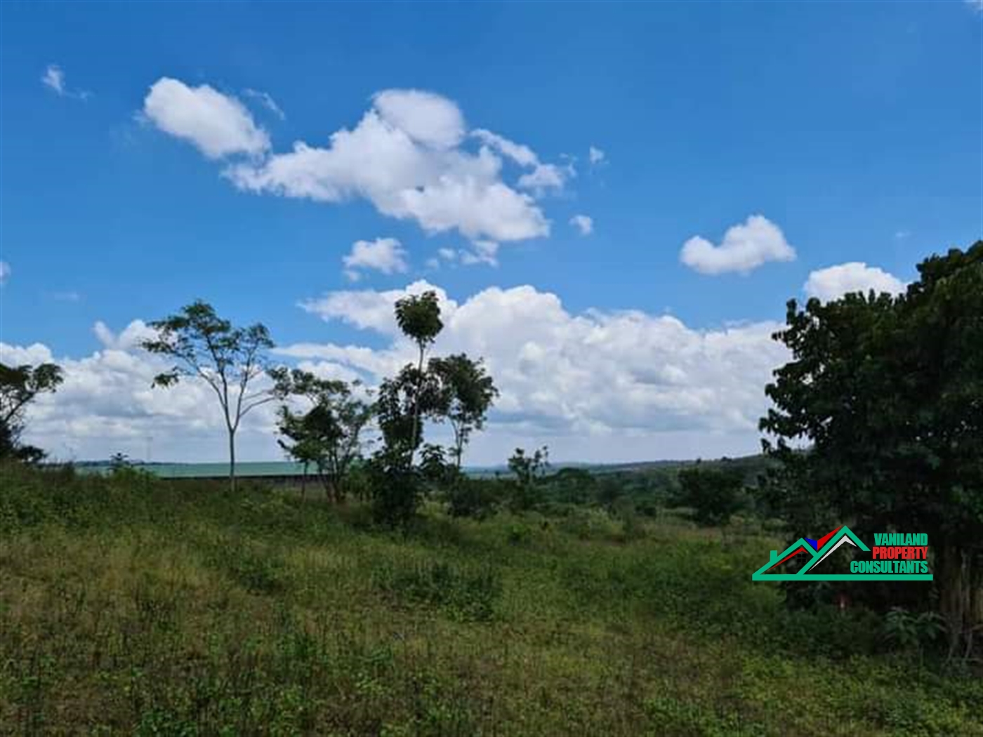 Agricultural Land for sale in Nkokonjeru Mukono