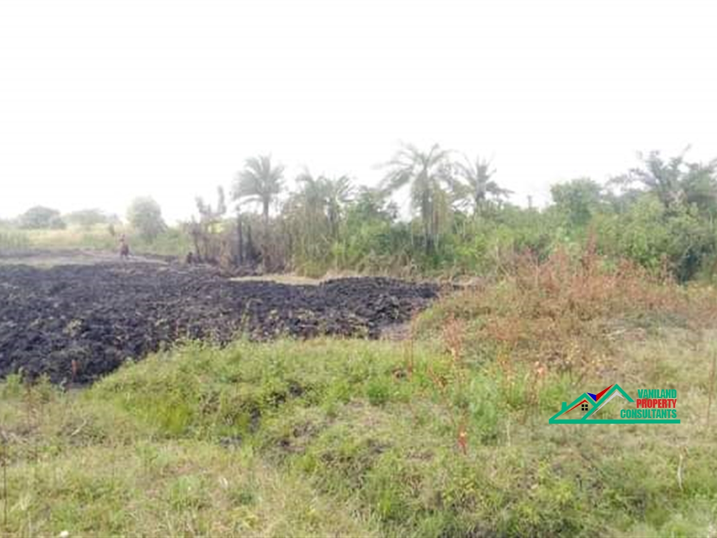 Agricultural Land for sale in Iganga Iganga