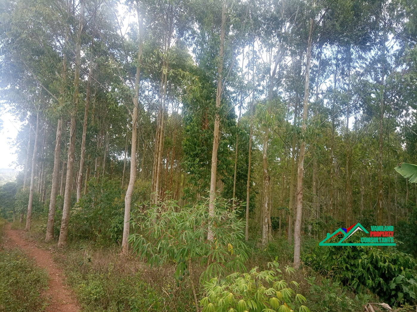 Agricultural Land for sale in Mukono Mukono