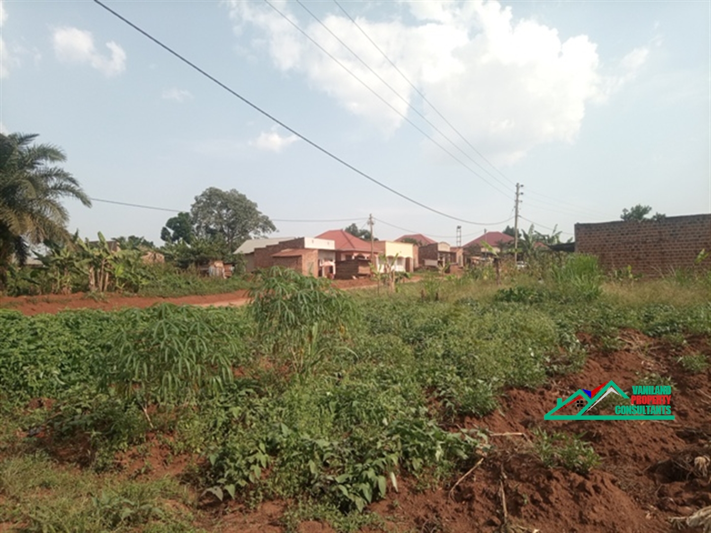 Residential Land for rent in Jjoggo Mukono