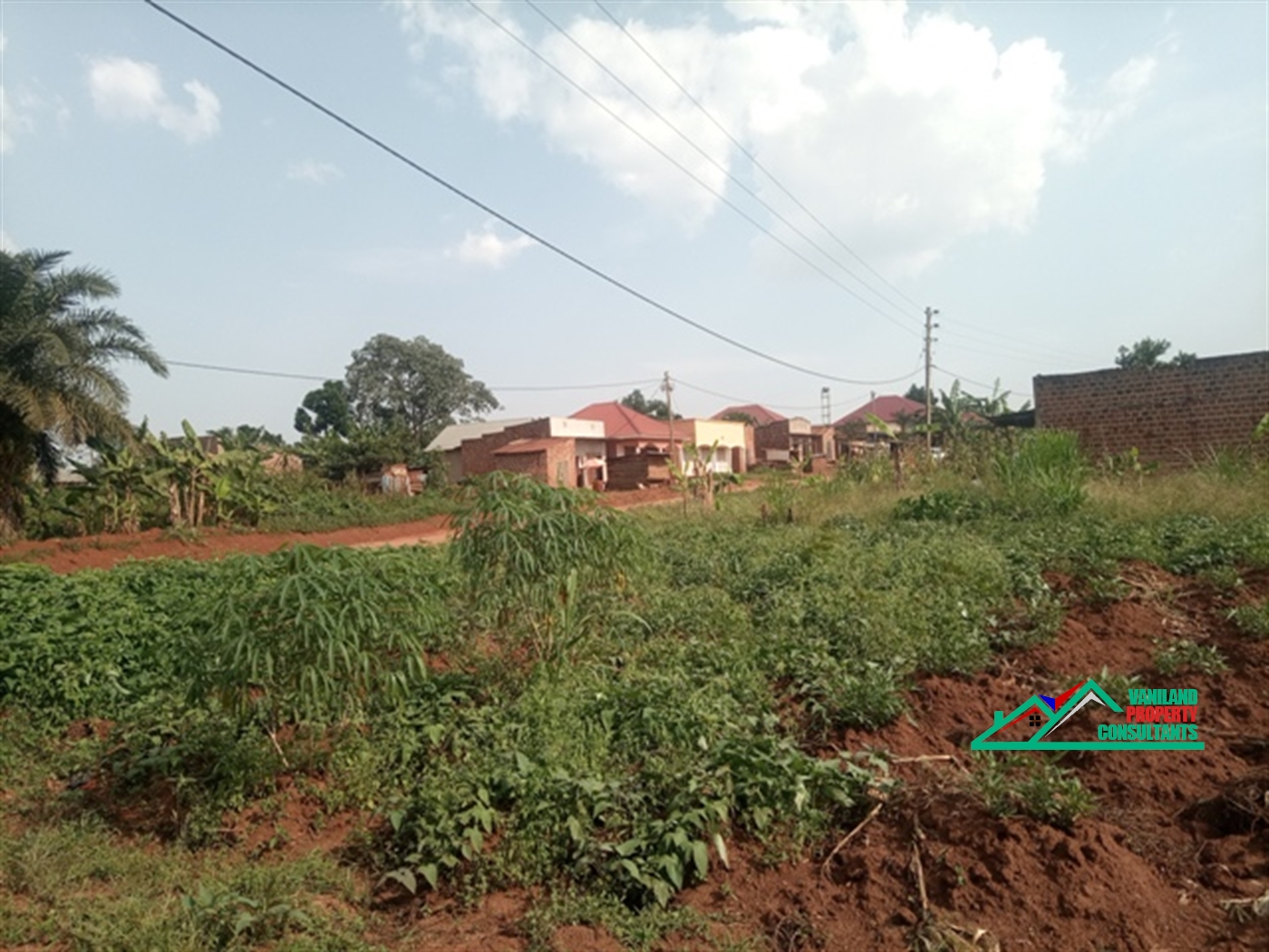 Residential Land for rent in Jjoggo Mukono