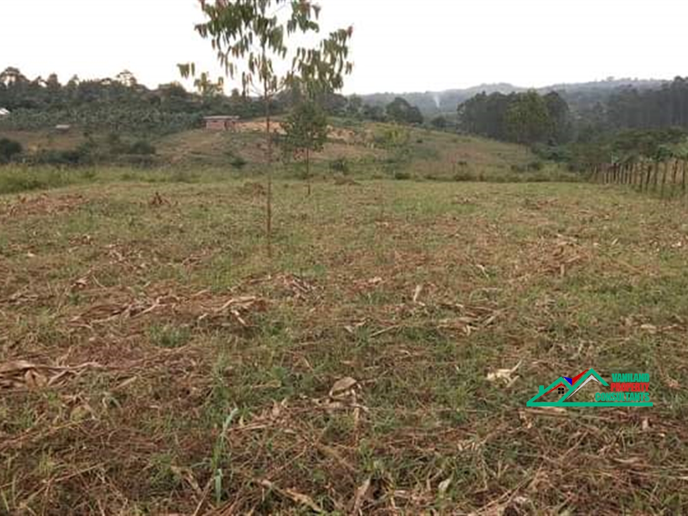 Agricultural Land for sale in Kikyuusa Luweero