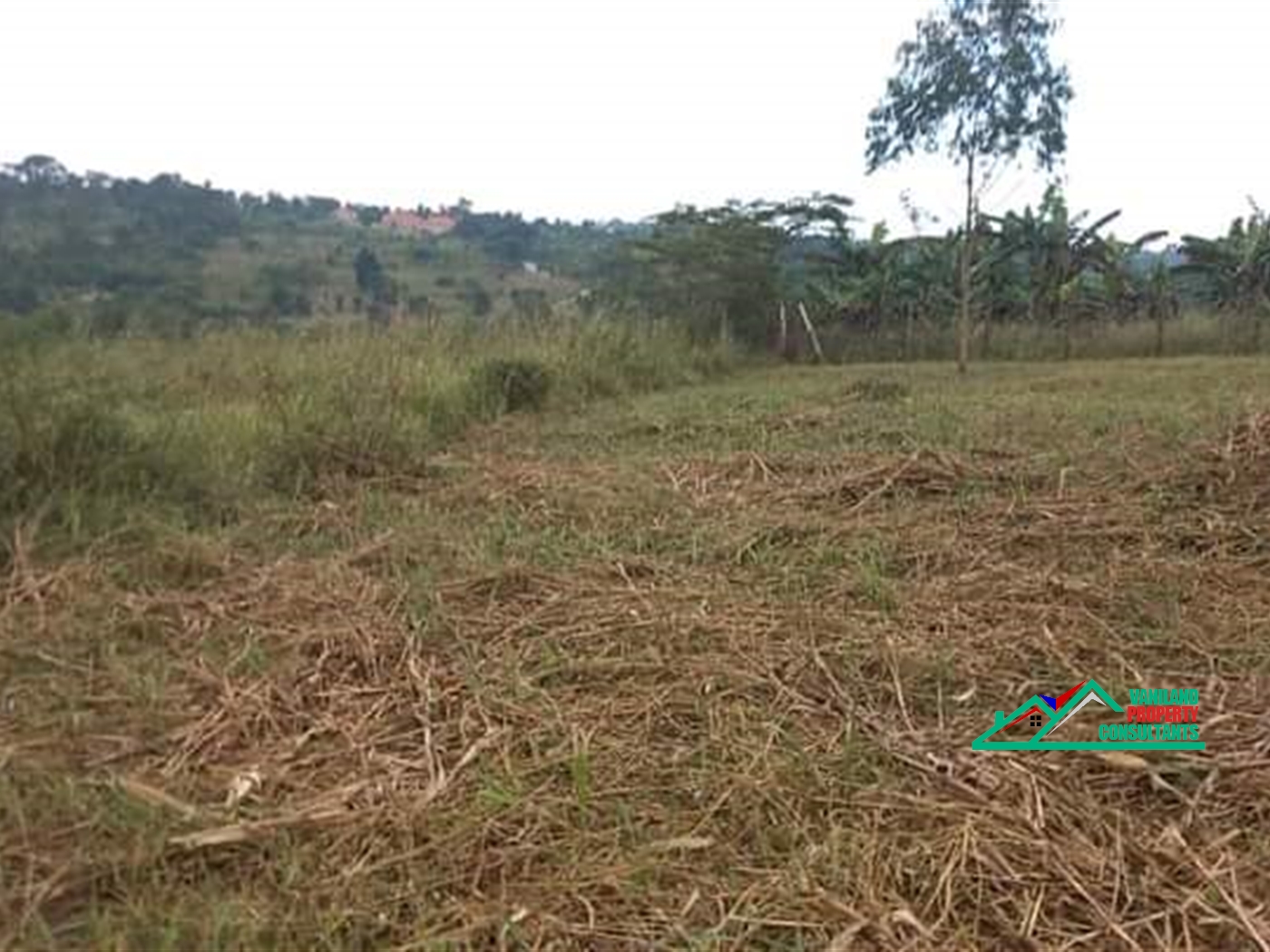 Agricultural Land for sale in Kikyuusa Luweero