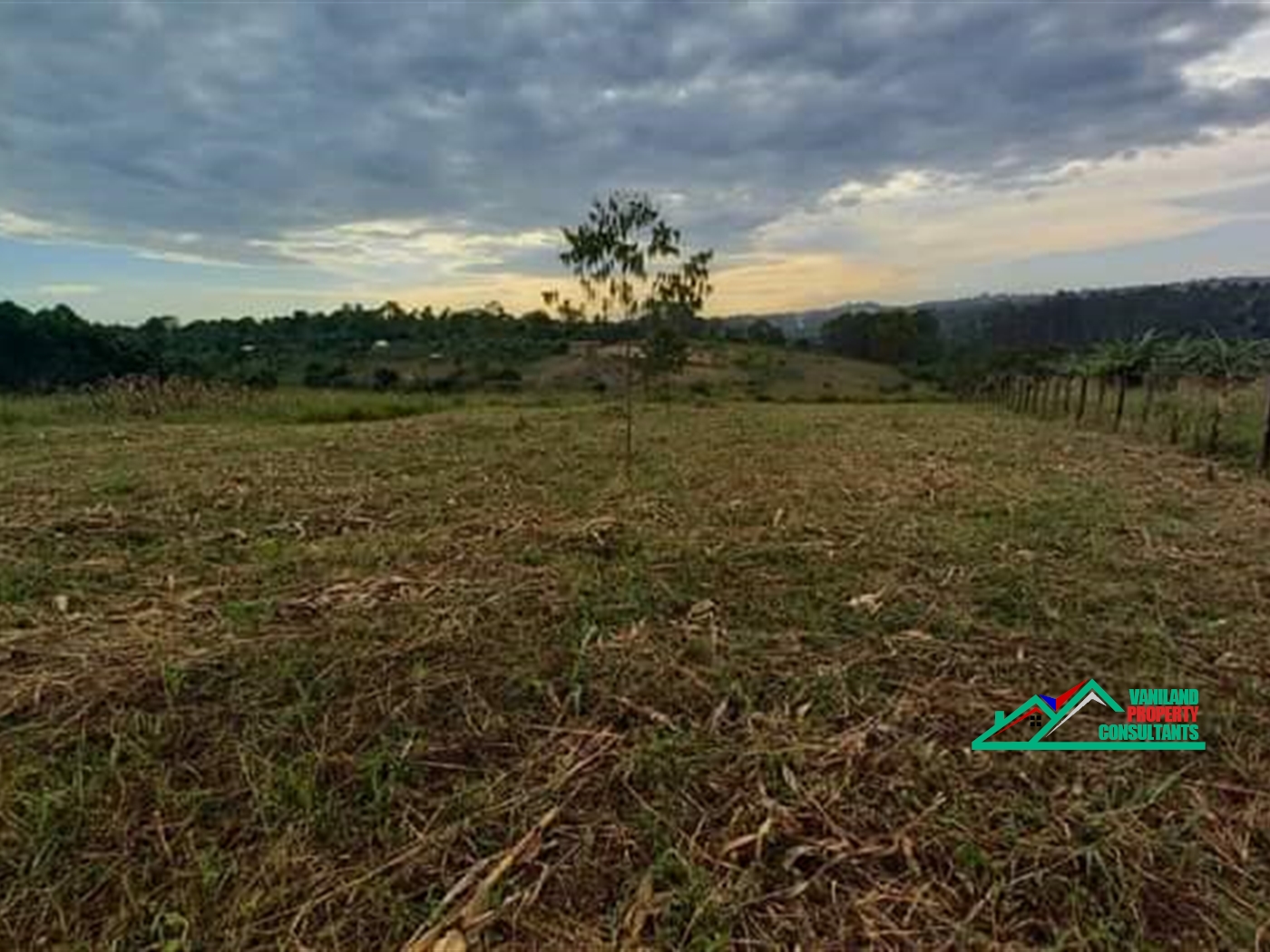 Agricultural Land for sale in Kikyuusa Luweero