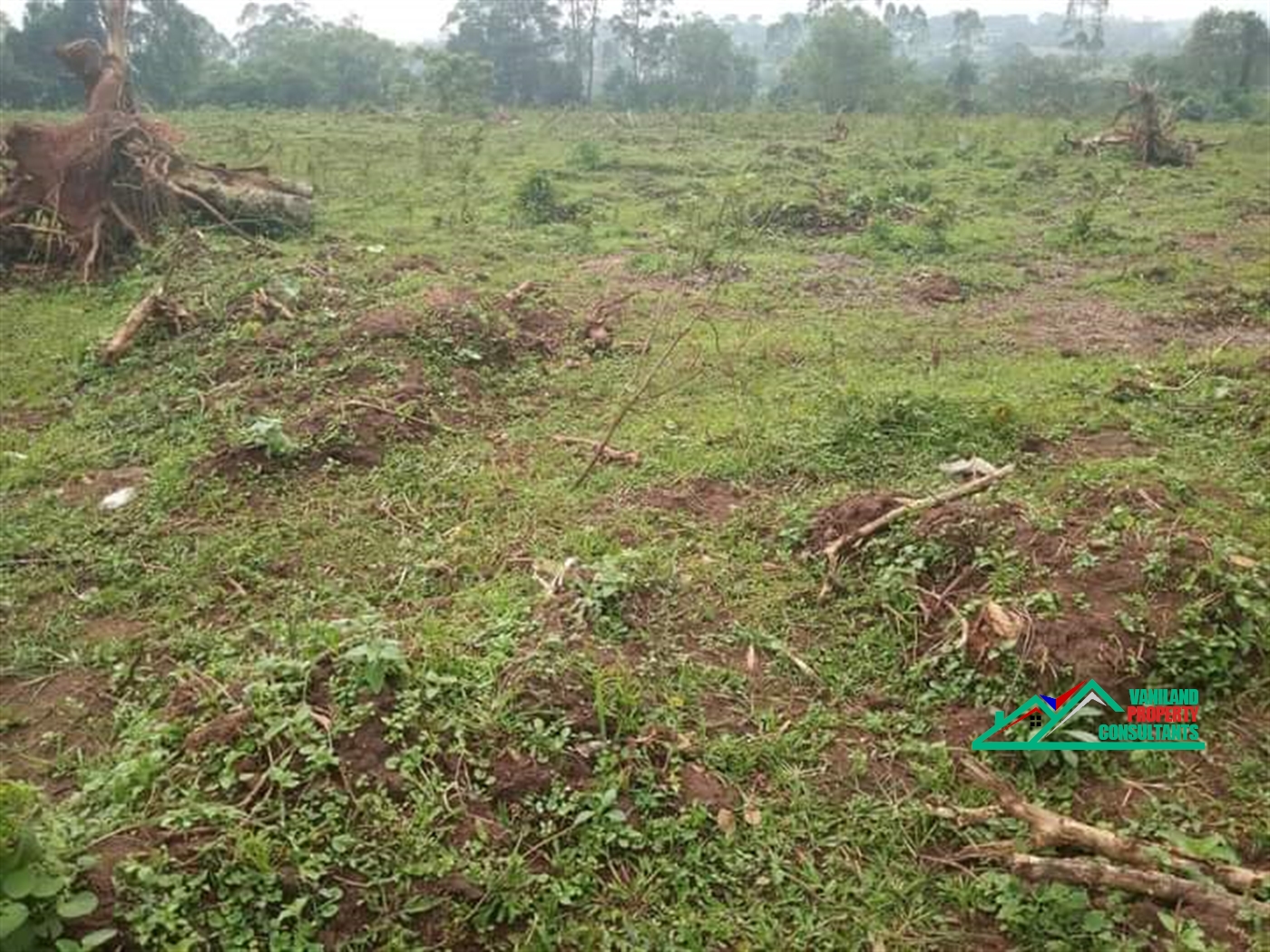 Residential Land for sale in Mukoono Mukono