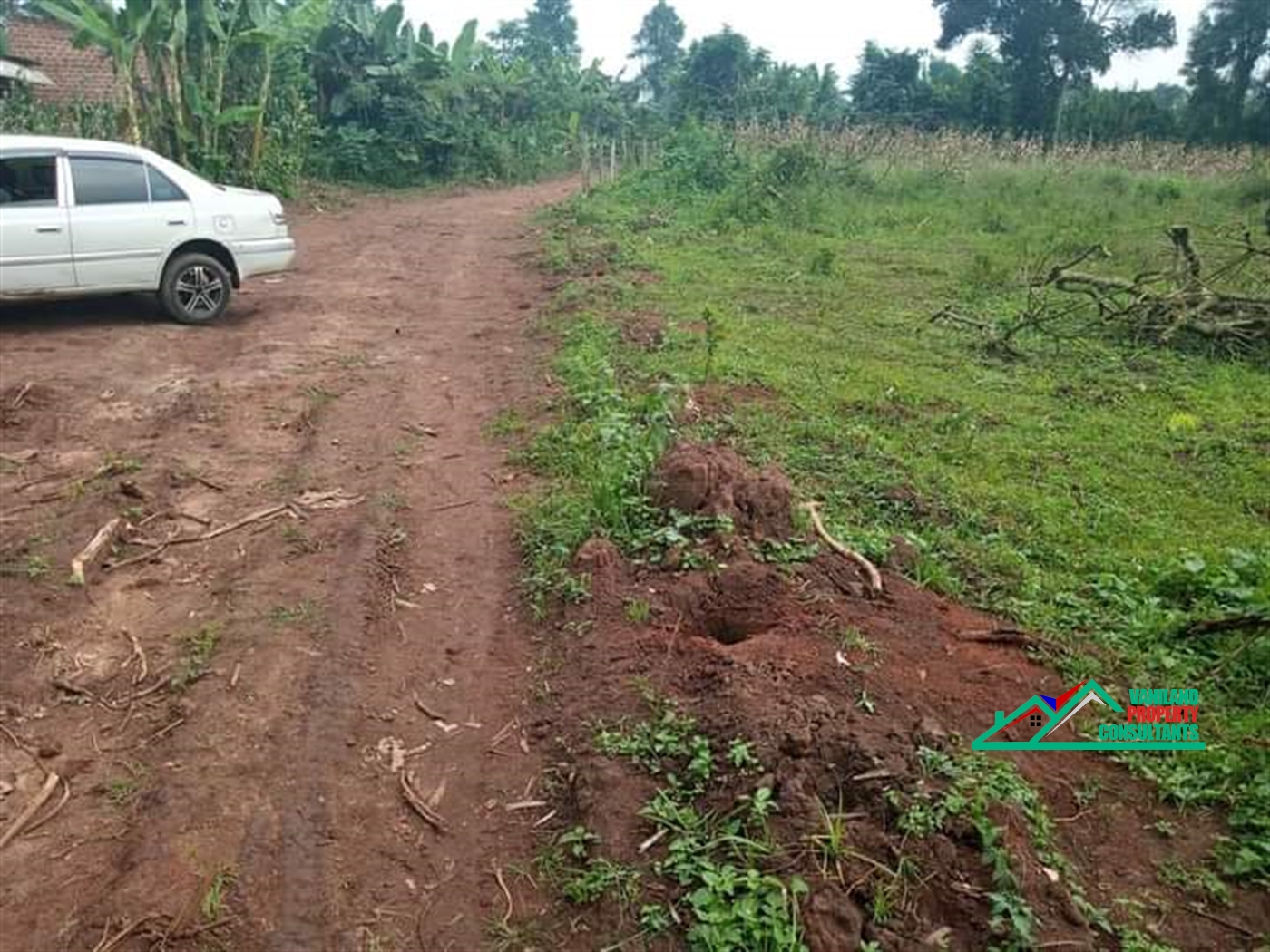 Residential Land for sale in Mukoono Mukono