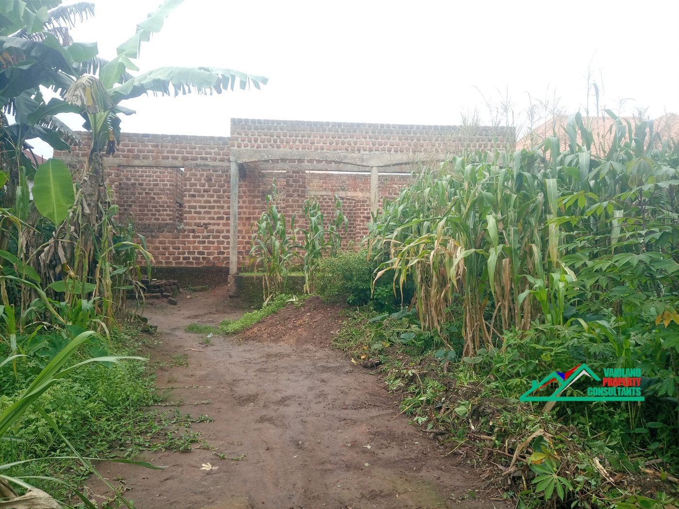 Shell House for rent in Nabuti Mukono