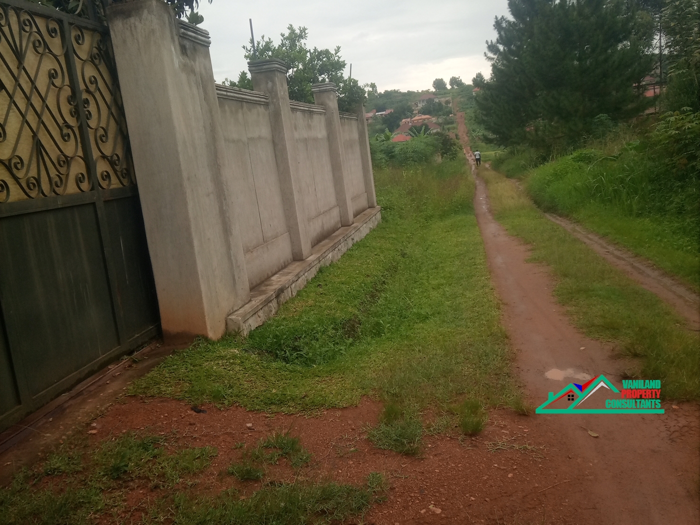 Shell House for rent in Nabuti Mukono