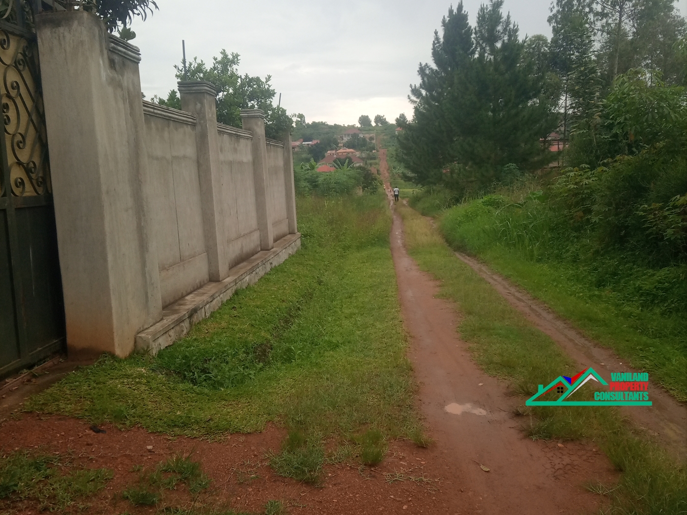 Shell House for rent in Nabuti Mukono