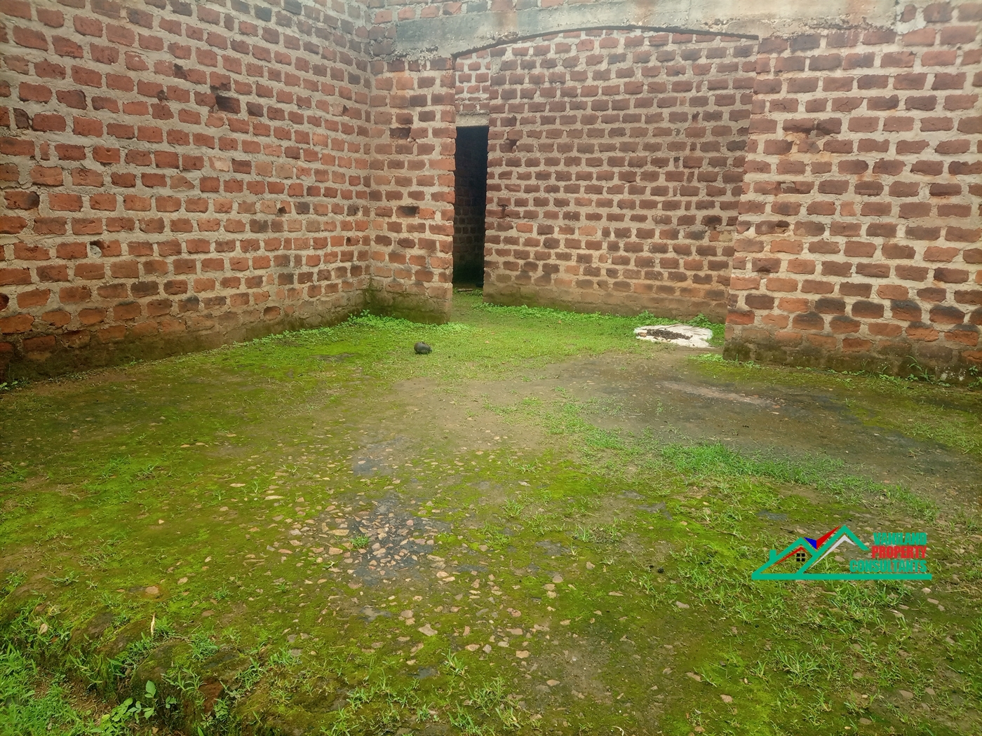 Shell House for rent in Nabuti Mukono