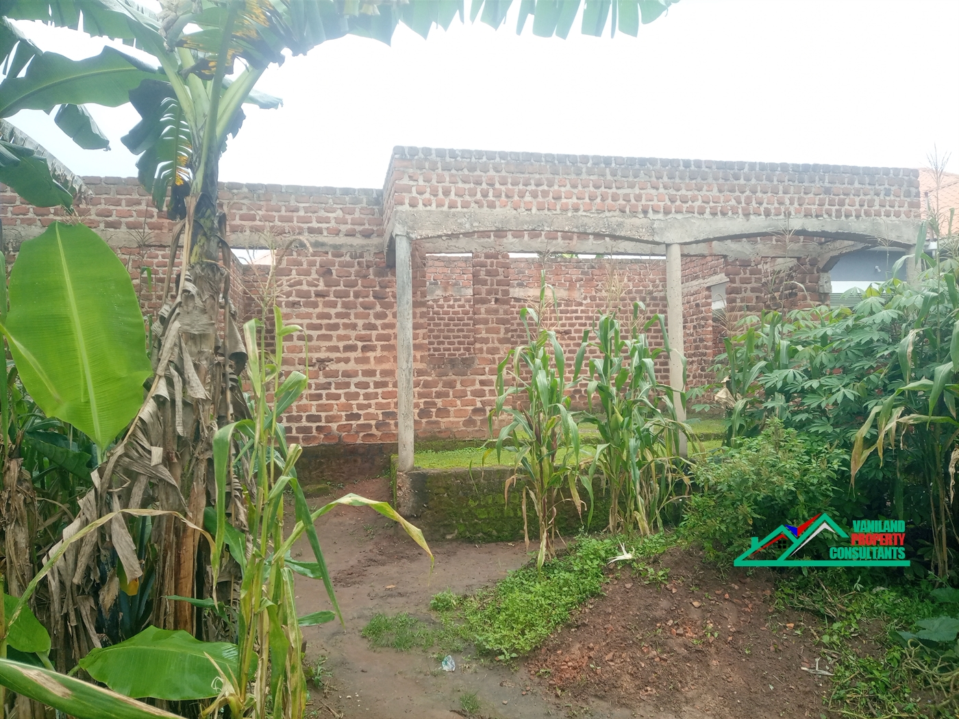 Shell House for rent in Nabuti Mukono