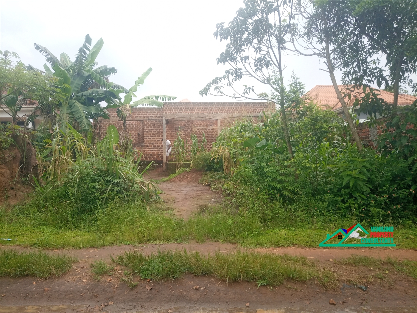 Shell House for rent in Nabuti Mukono