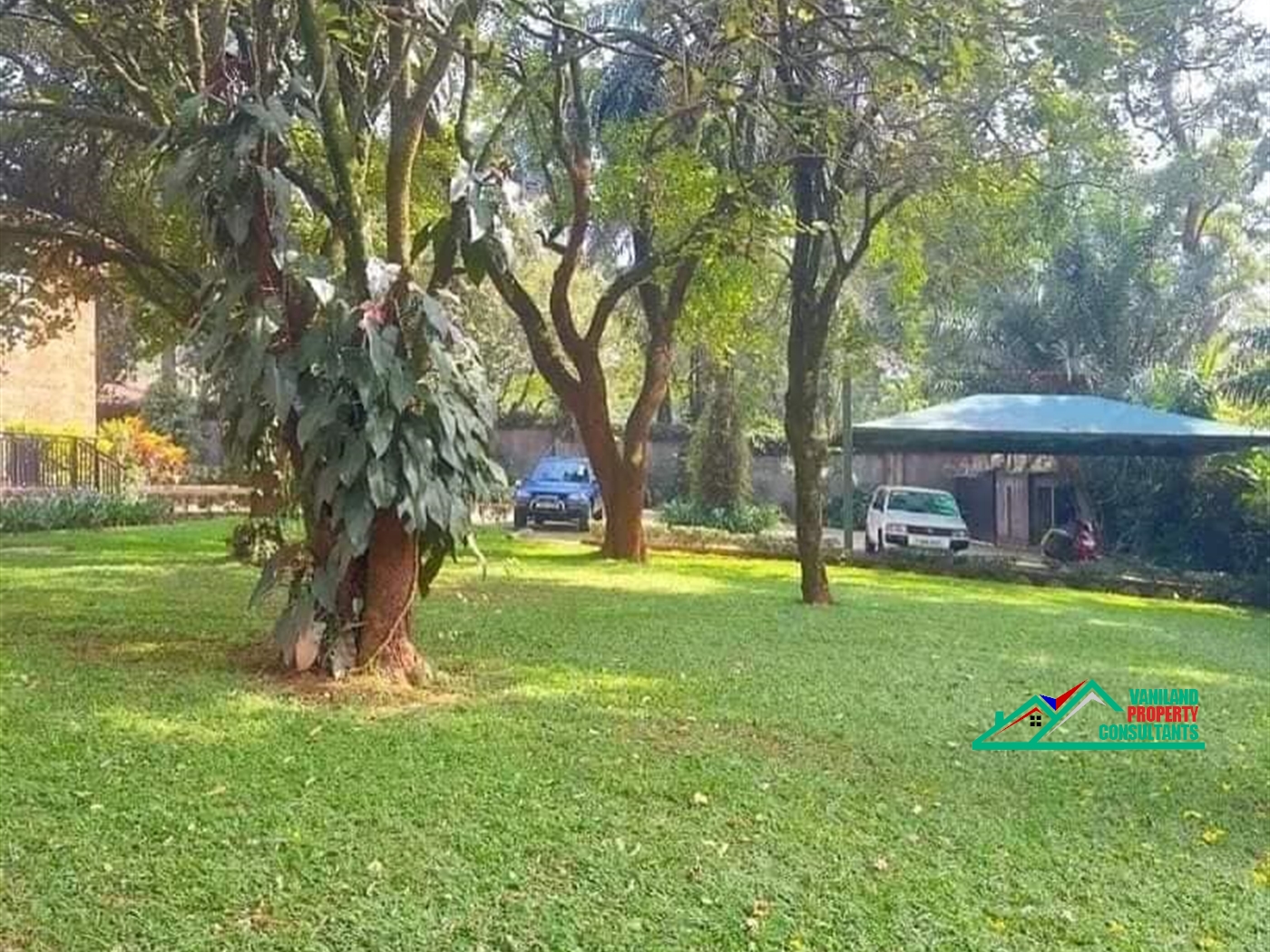 Bungalow for rent in Kololo Kampala