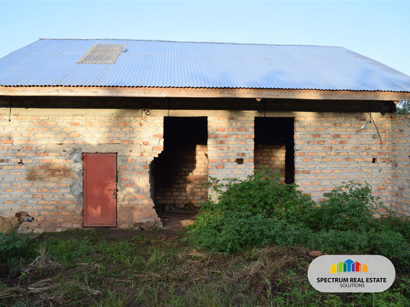 Farm for sale in Kikonge Mityana