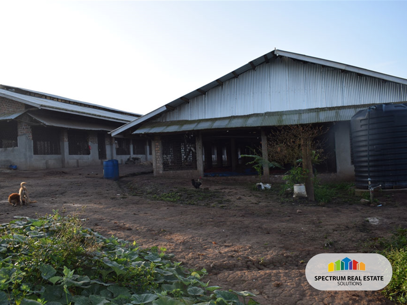 Farm for sale in Kikonge Mityana