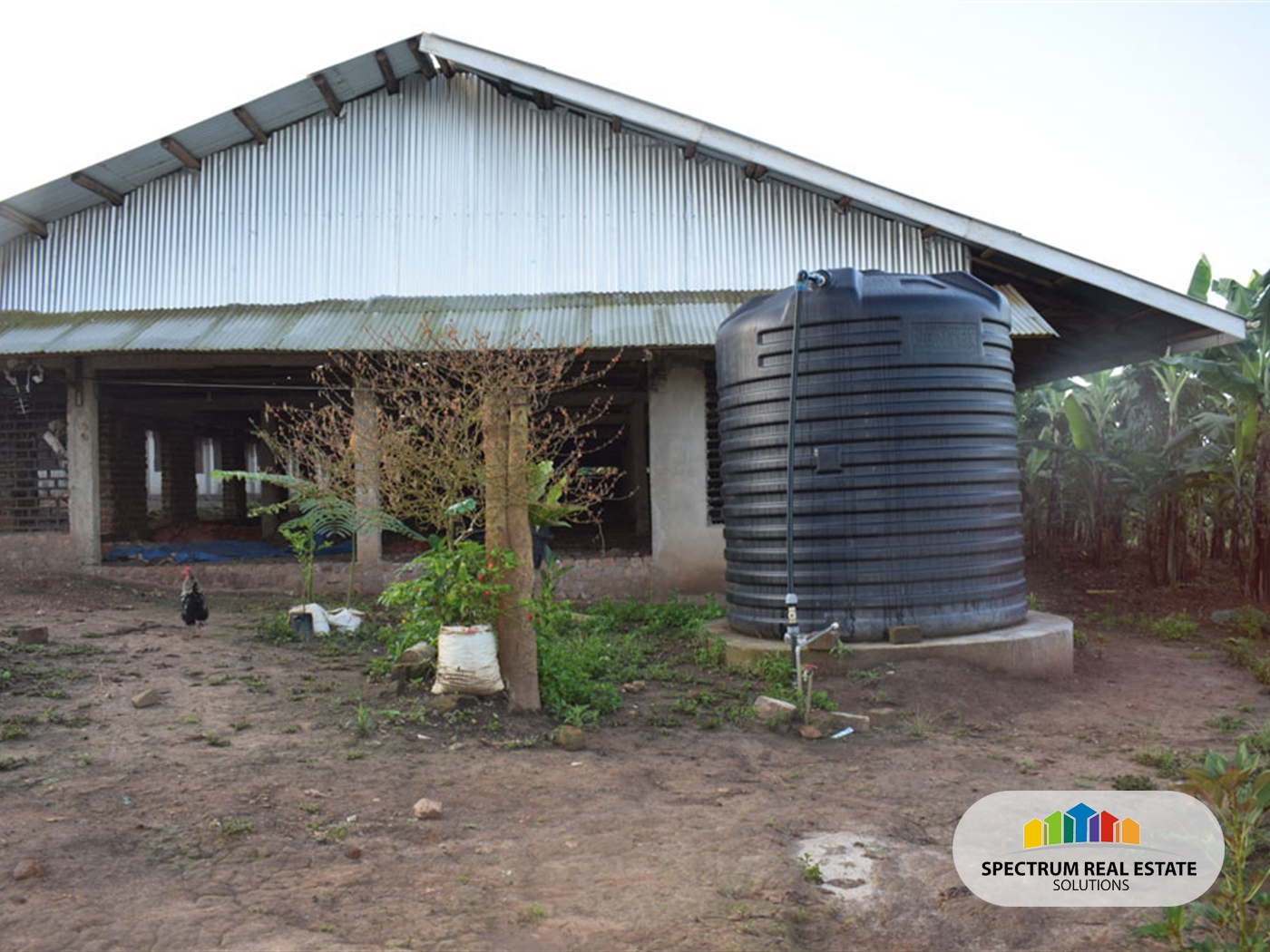 Farm for sale in Kikonge Mityana