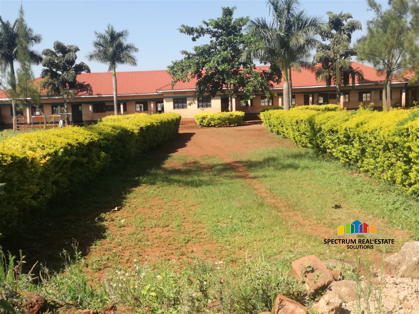 School for sale in Busia Busia