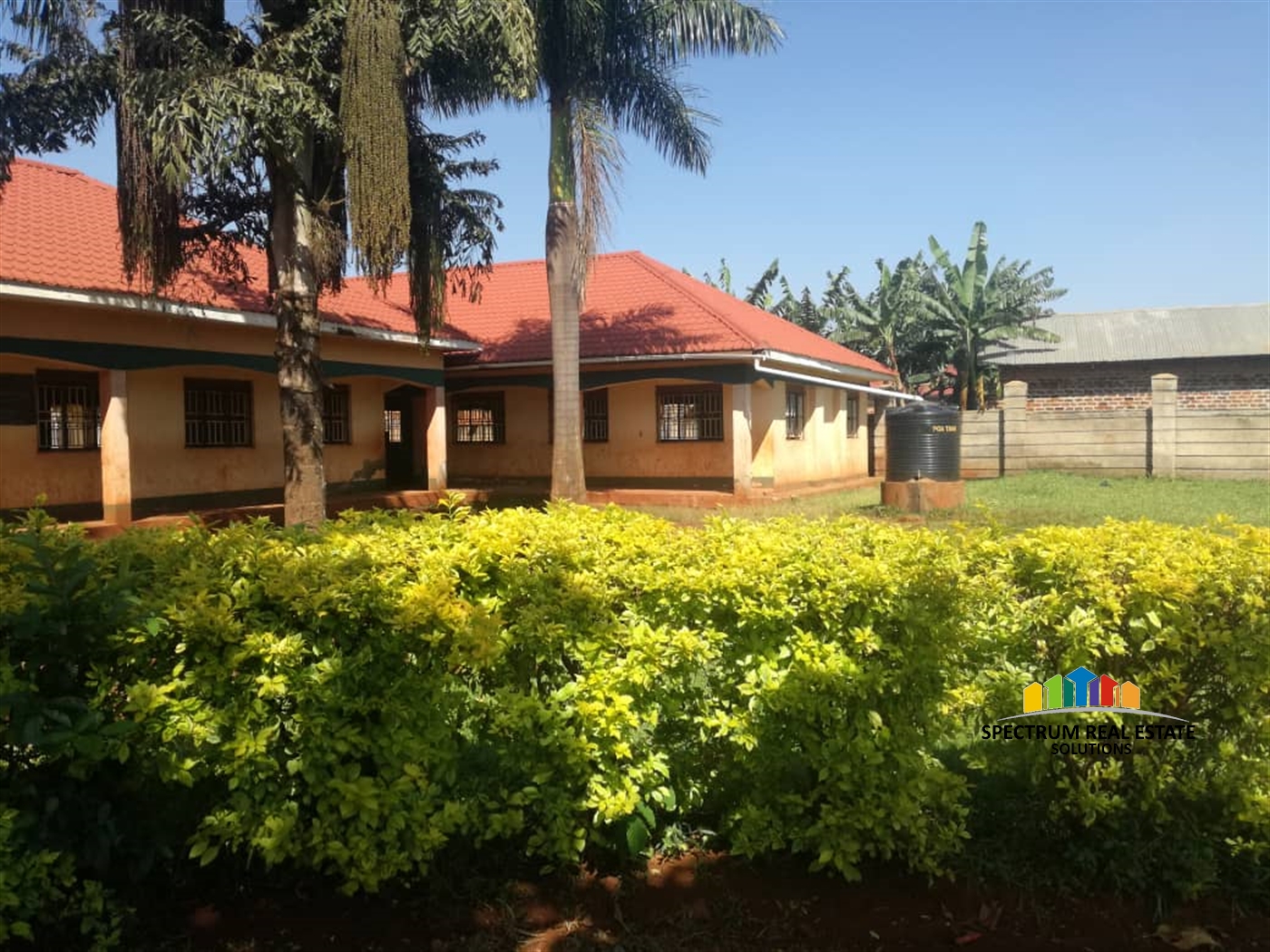 School for sale in Busia Busia