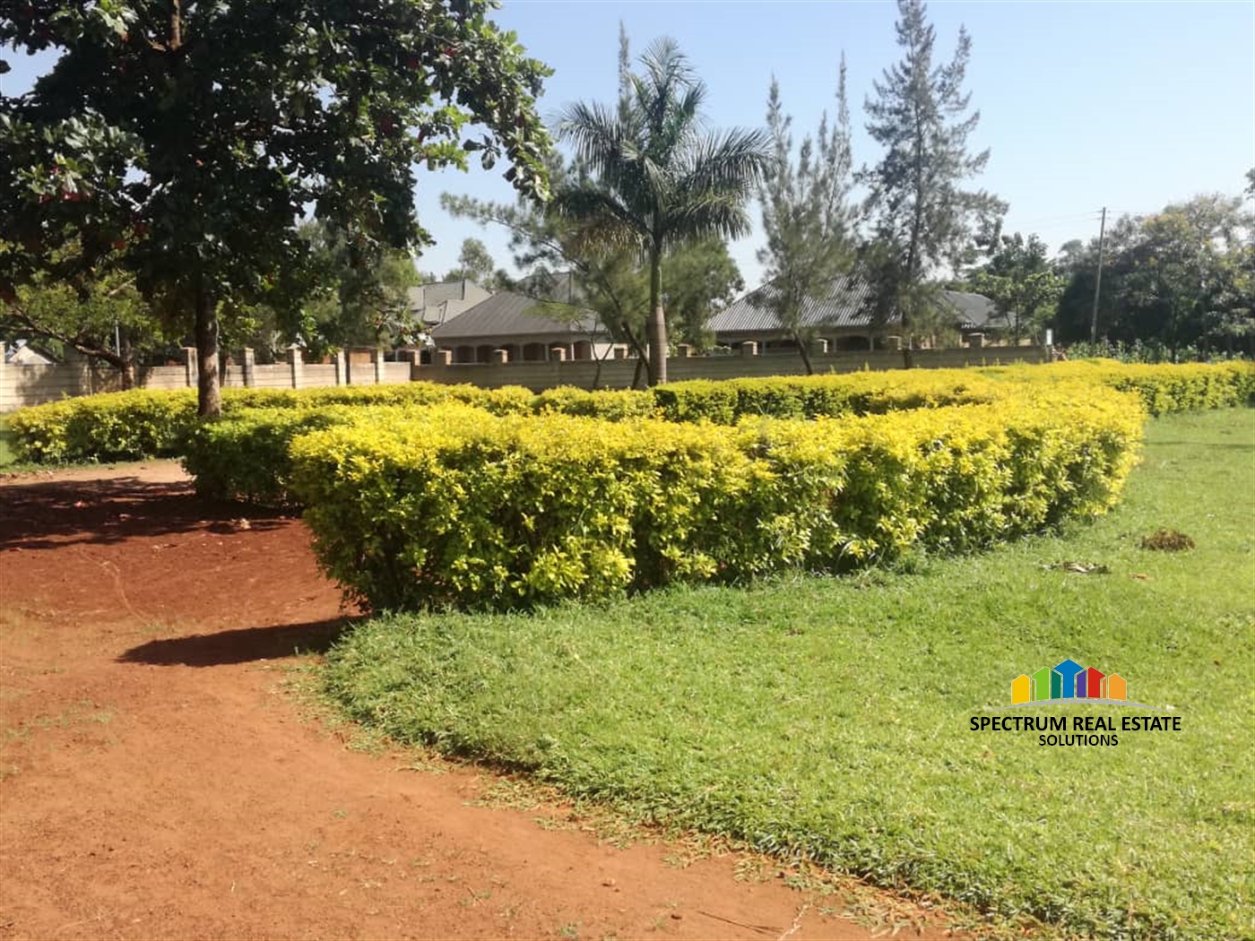 School for sale in Busia Busia